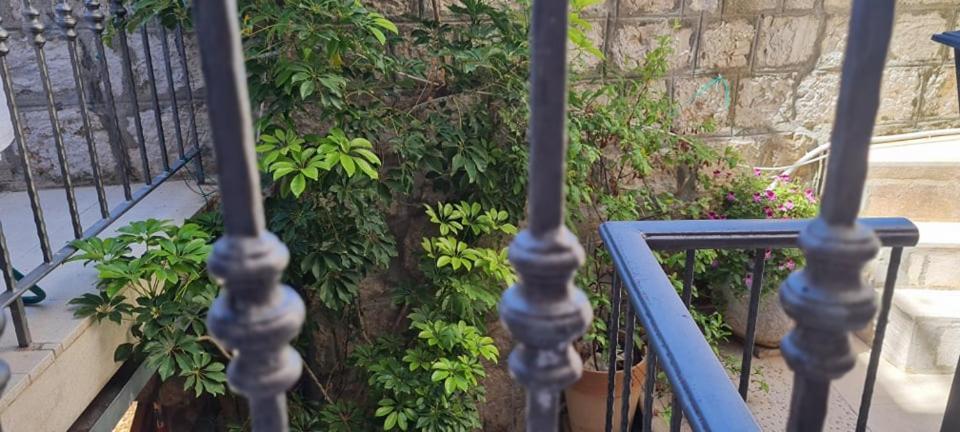 Bed & Breakfast Dionis Vis Exterior foto